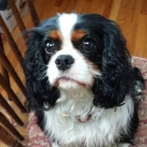 Meet your Posher, Cathy